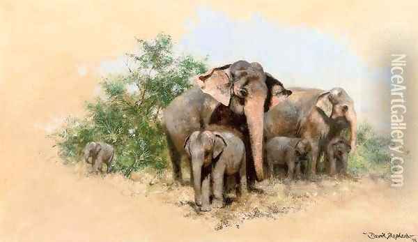 A family of elephants Oil Painting - Thomas Hosmer Shepherd