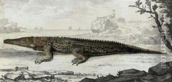 Study Of A Crocodile On The Shore, A Castle Beyond Oil Painting - Clement Lempriere