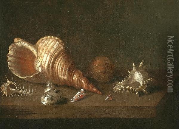 Still Life With Shells Oil Painting - Pieter Gerritsz. van Roestraten