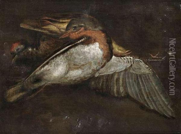 Still Lifes With Dead Wild Birds. Oil Painting - Johann-Adalbert Angermeyer