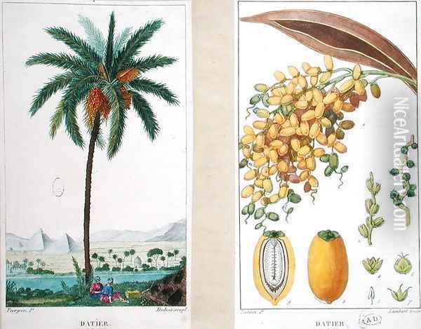 Date tree and fruit,early nineteenth century Oil Painting - Pierre Jean Francois Turpin