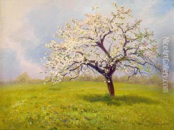 Bluhenderapfelbaum Auf Besonnter Wiese Oil Painting - Jan Trentan-Havlicek