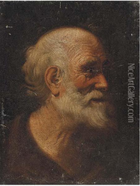 Head Of A Male Saint Oil Painting - Giacomo Francesco Cipper