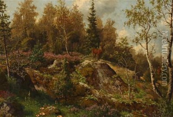 Swedish Forest Landscape With A Deer Standing On A Rock Oil Painting - Carl Henrik Bogh