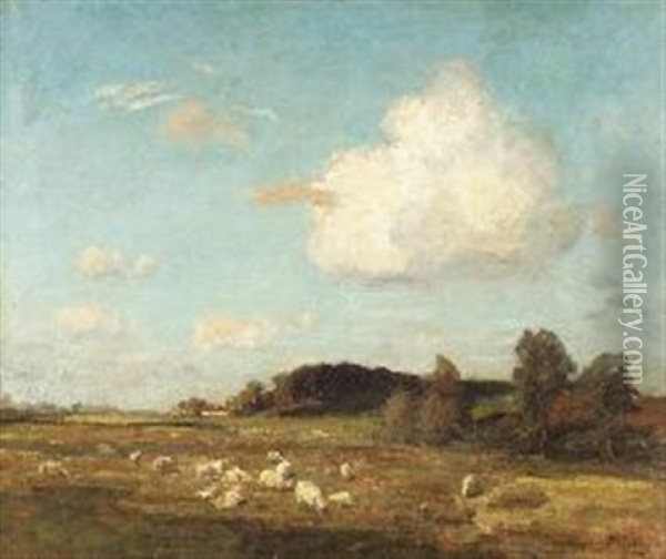 Sheep Grazing In Summer Pasture Oil Painting - James Riddel