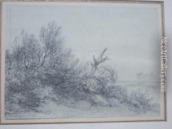 Sketch Of Bushes Oil Painting - George Frost