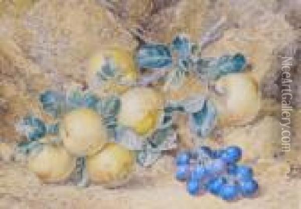 Still Life Of Apples And Grapes Oil Painting - Thomas Collier