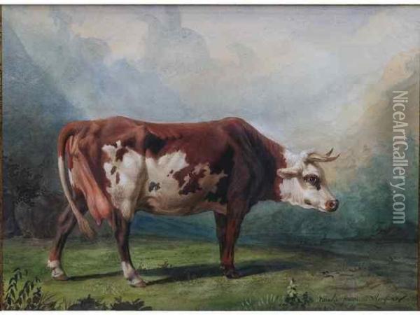 Vache Dans Un Paysage Montagneux Oil Painting - Rosa Bonheur