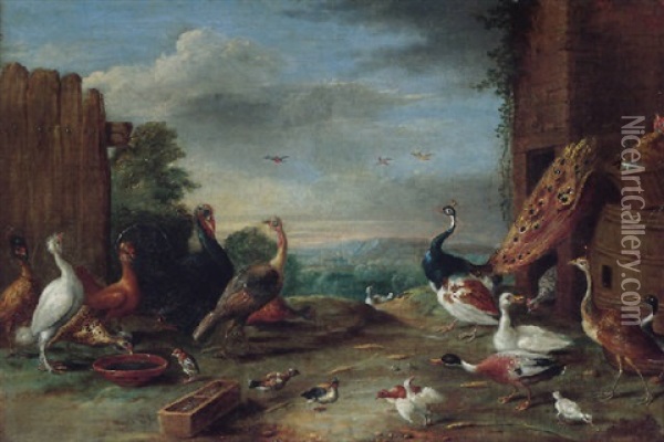 A Landscape With Peacocks, Hens, Ducks, A Turkey And Other Fowl Oil Painting - Jan van Kessel the Elder