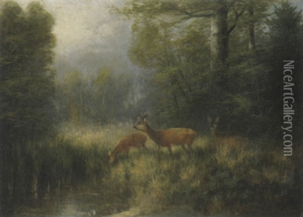 Rehe Am Waldweiher Oil Painting - Otto Scheuerer
