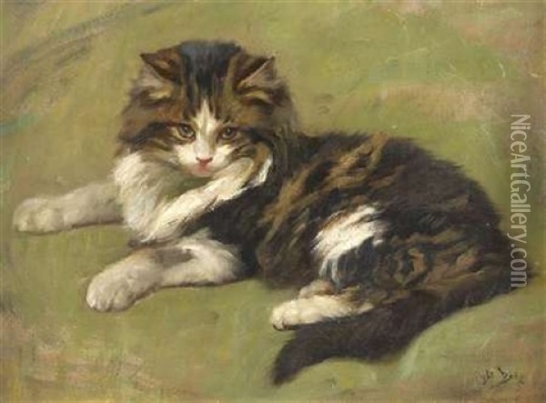 Cat Study Oil Painting - Wright Barker
