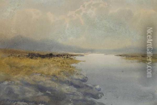 A Bogland River Oil Painting - William Percy French