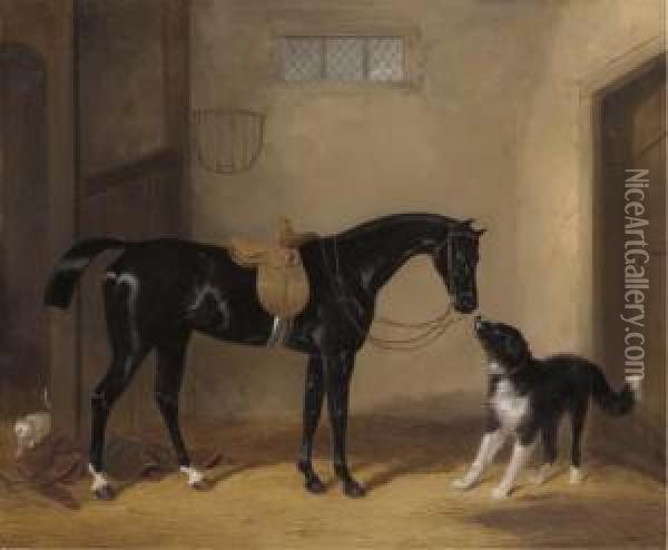 Portrait Of A Saddle Black Hunter With A Sheep Dog In Astable Oil Painting - William Barraud