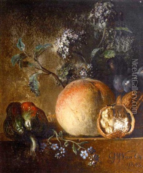 Nature Morte De Fleurs Et Fruits Oil Painting - Georgius Jacobus Johannes van Os