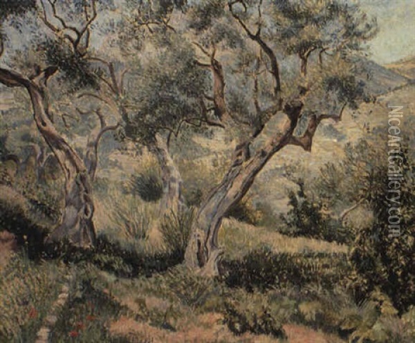 Les Oliviers Du Cabanon, Toulon Oil Painting - Lucien Pissarro