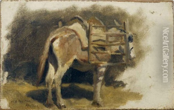 Donkey (study) Oil Painting - William Edward Norton
