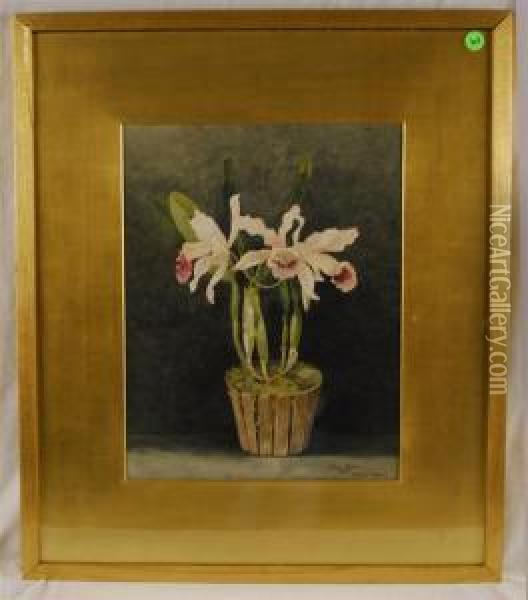 Orchids Oil Painting - Ellen Robbins