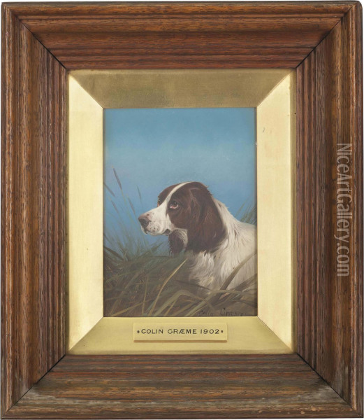 A Spaniel In A Landscape; And A Spaniel On The Scent Oil Painting - Colin Graeme Roe