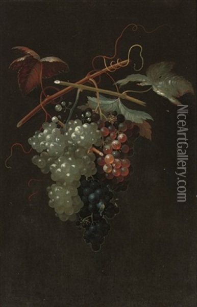 Bunches Of White, Black And Red Grapes Oil Painting - Thomas Keyse