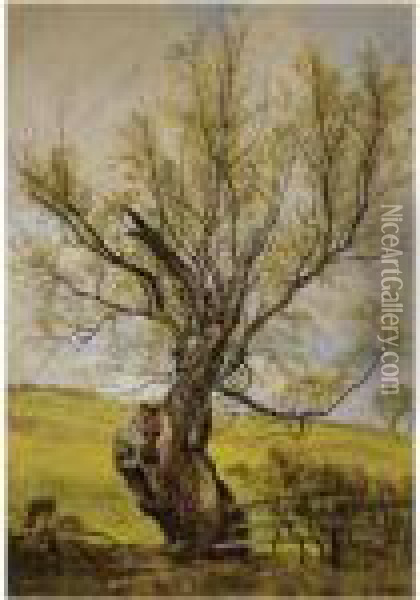 An Ancient Willow In The Grounds Of Hermitage Castle, Roxburghshire Oil Painting - Waller Hugh Paton