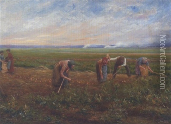 Kartoffelernte Oil Painting - Hugo Muehlig