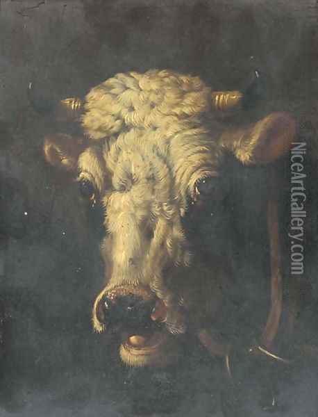 Studies of cattle Oil Painting - Eugene Joseph Verboeckhoven