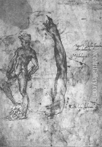 Study For An Arm Of The Marble David And The Figure Of The Bronze David Oil Painting - Michelangelo Buonarroti