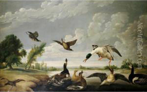 A River Landscape With Muscovy Ducks And Other Birds Oil Painting - Paul de Vos