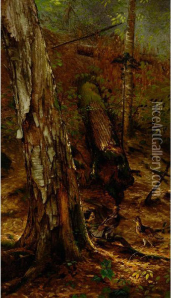 An Adirondackforest Oil Painting - Arthur Fitzwilliam Tait