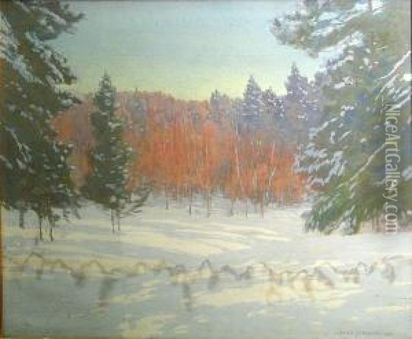 Winter Woodland Oil Painting - Alfred Jansson