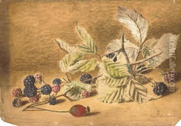 A Study Of Blackberries And A Rose-hip Oil Painting - Oliver Clare
