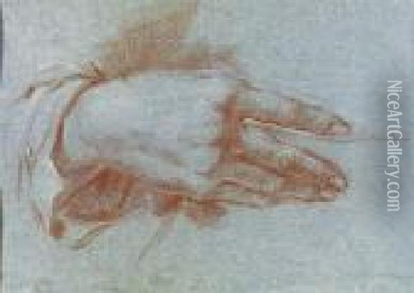 Study Of A Hand Oil Painting - Giovanni Domenico Tiepolo