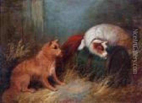 Two Terriers In A Stable Oil Painting - George Armfield