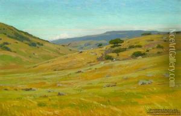 Grassy Hillsides Oil Painting - William Wendt