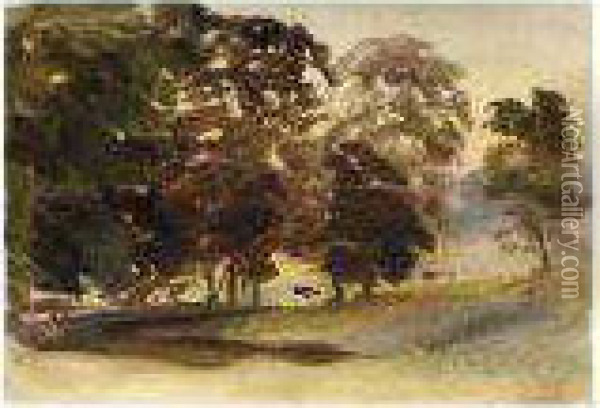 Trees In A Park Oil Painting - Thomas Shotter Boys