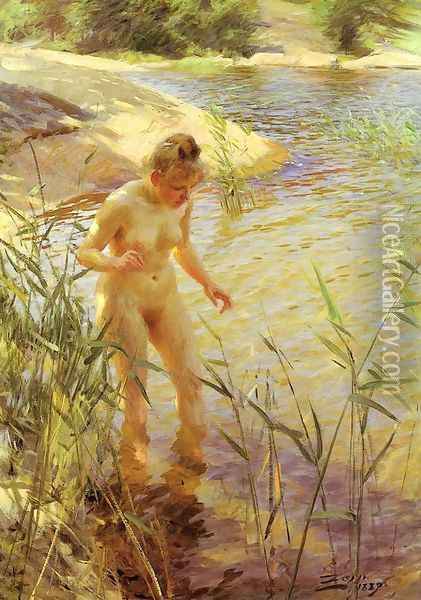 Reflections Oil Painting - Anders Zorn