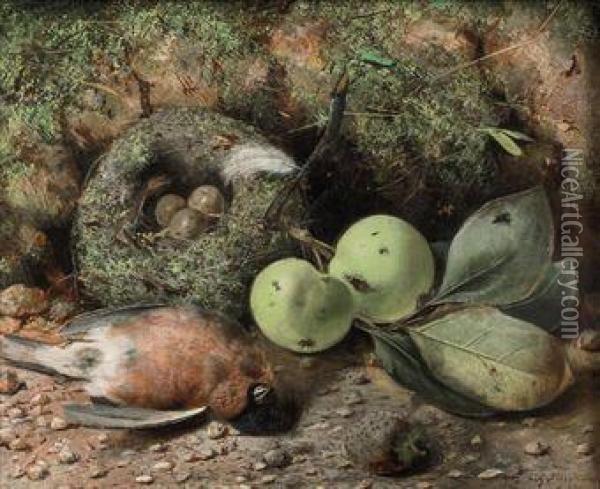 Fruit, A Nest And Game On A Forest Floor Oil Painting - Cecil Gordon Lawson