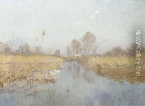 April Morgen: Swans On A Lake Oil Painting - Philipp Franck