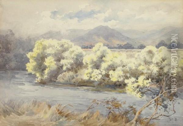 Yarra River Oil Painting - Emma Minnie Boyd
