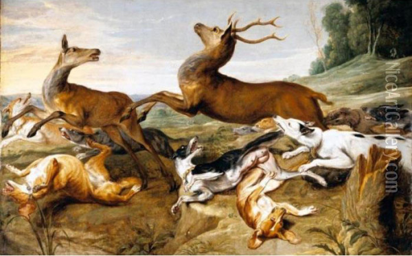 Deer Being Chased By Hounds Oil Painting - Frans Snyders