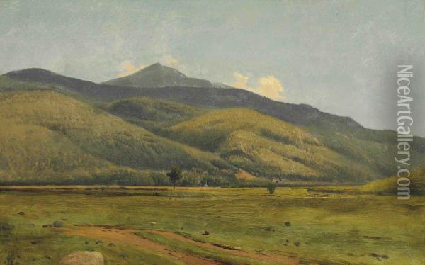 Fields In Summer Oil Painting - William M. Hart