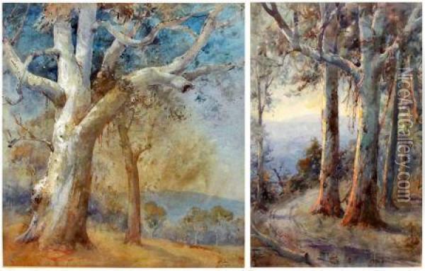 Australian Landscapes With Eucalyptus Trees Oil Painting - Henry Barlow Carter