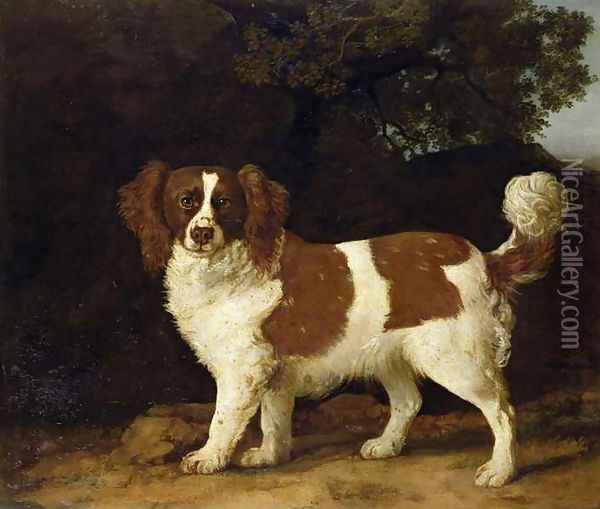 A Liver and White Spaniel, 1777 Oil Painting - George Stubbs