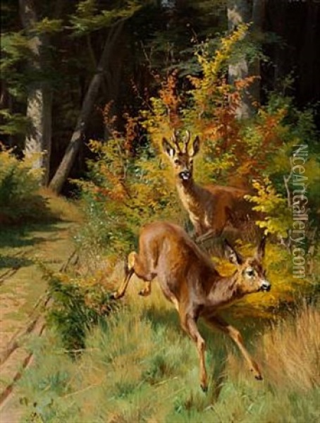 Deer In The Woods Oil Painting - Adolf Heinrich Mackeprang
