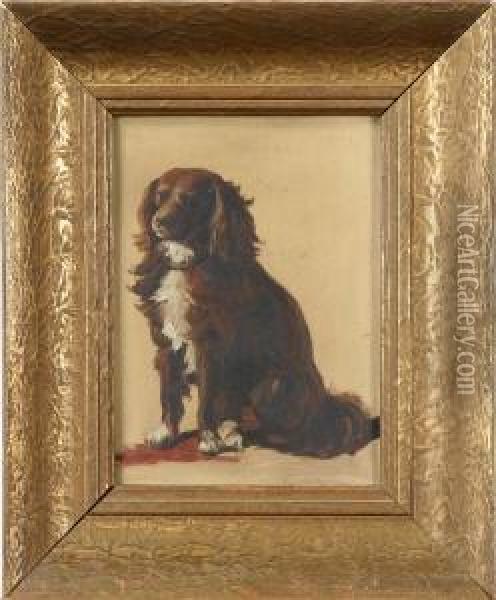 Hundportratt, Signerad Med Blyerts, Olja Pa Pappanna, 19,5x14 Oil Painting - Johann Novopacky