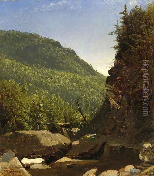 The Top of Kauterskill Falls Oil Painting - Sanford Robinson Gifford