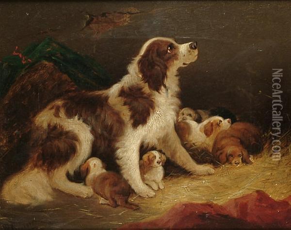 A Spaniel And Puppies Oil Painting - William Gibbons