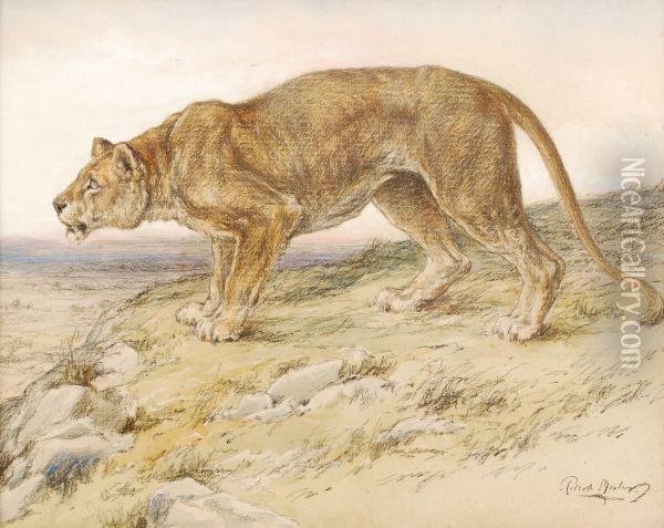 Lioness Oil Painting - Robert Morley