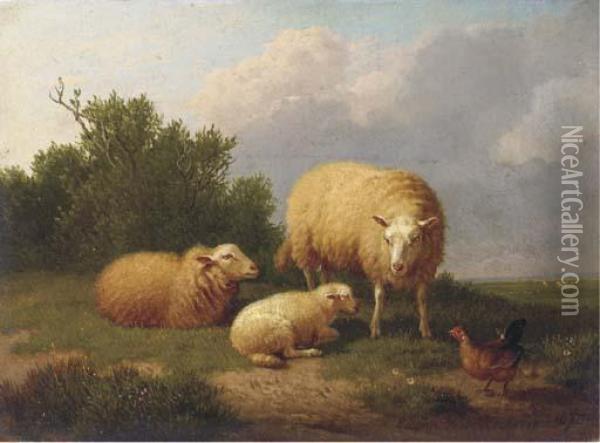 Sheep In A Meadow Oil Painting - Eugene Joseph Verboeckhoven