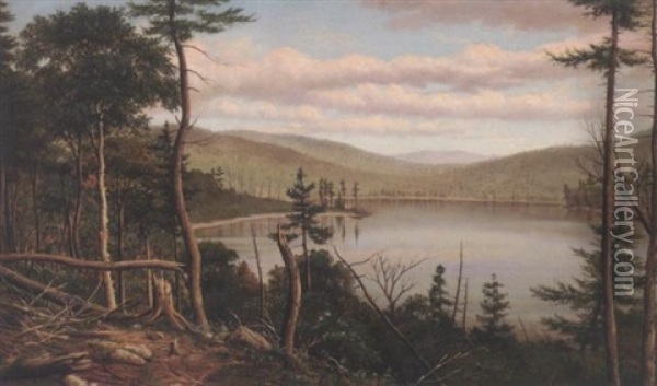 A View Of The Adirondacks Oil Painting - Levi Wells Prentice
